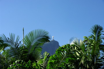 Jardin Tropical et Corcovado, Rio de Janeiro, Brésil