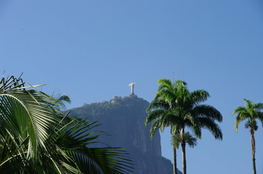 Corcovado au loin et palmiers, Rio de Janeiro, Brésil.