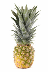 Fototapeta premium Pineapple