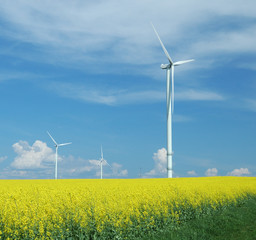 farm of windturbines close to rape field France