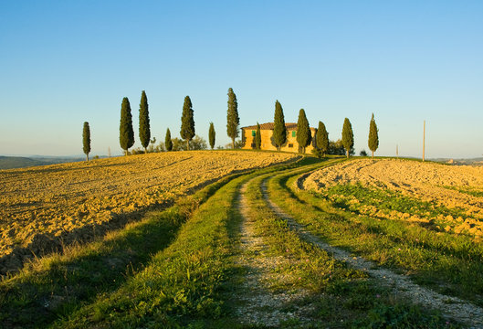 image of typical tuscan landscape