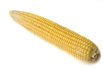 corn