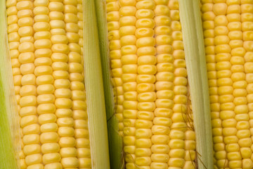 corn