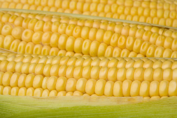 corn
