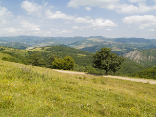 Naklejka premium Beauty mountains view in georgia. Blue sky sunny summer day.