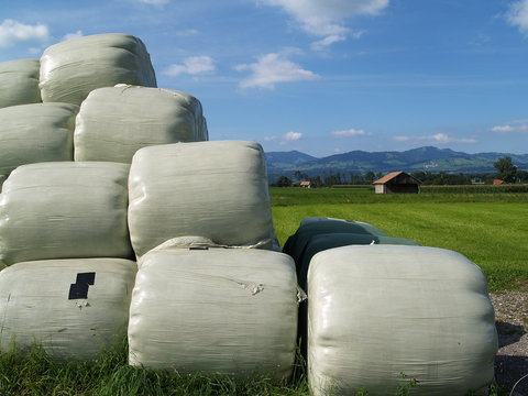 campagne...fourage stock&eacute; en pr&eacute;vision de l'hiver
