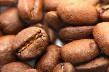 Coffee Graines