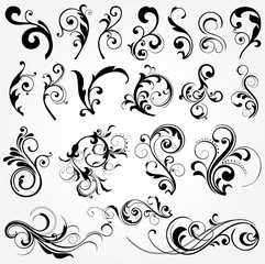 floral design elements