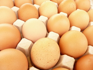 Eggs - Oeufs