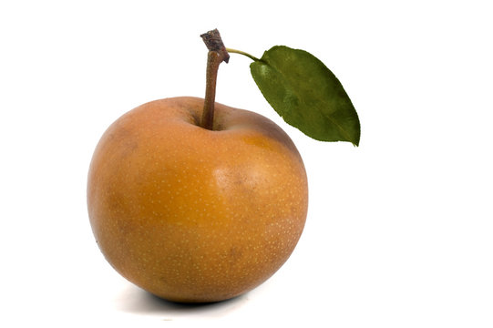 one Nashi pear isolated on white