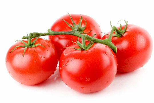 Four Red Tomatoes