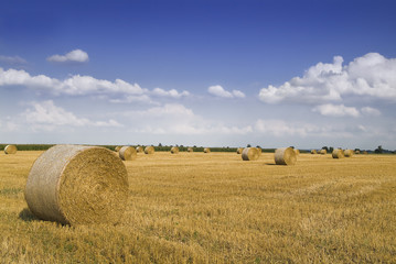Strohfeld