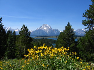 Fototapeta premium Signal Mountain view, Grand Teton National Park