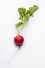 Red Radish