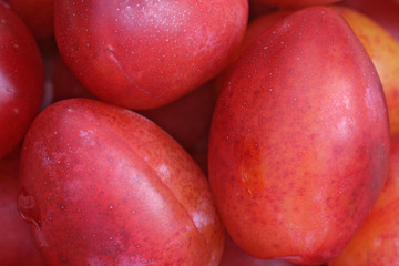 Closeup of fresh red plums.