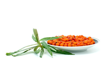 Saucer with sea buckthorn berries and some leaves