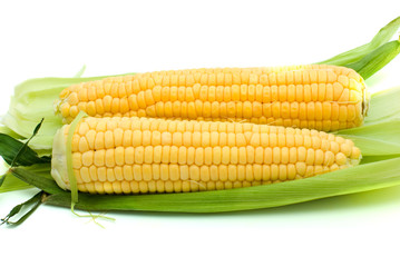 Pair of ripe corn ears isolated on the white background