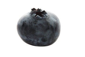 Macro shot of a single blueberry, isolated on white