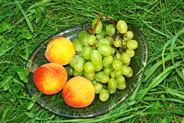 fresh fruits in green grass