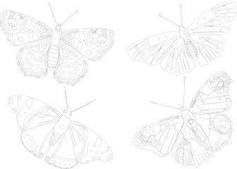 butterfly silhouette collection