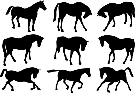 collection of horse silhouettes