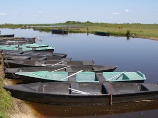 Barques dans le Parc Naturel de la Brière