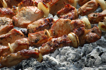 Pieces of pork shish kebab on skewers above ashes