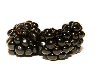 close up of blackberries on white background