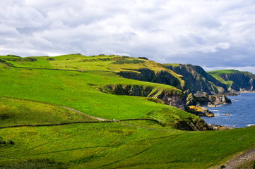 Fototapeta na wymiar dangerous coastal cliffs covered with bright green pasture