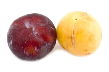 object on white - food plum macro
