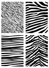 zebra pattern vector © sabri deniz kizil