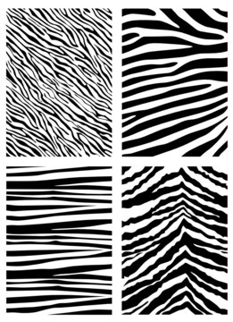 zebra pattern vector
