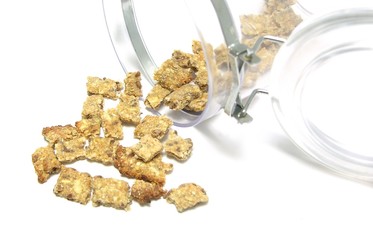 Selbstgemachte Hundekekse aus der Dose