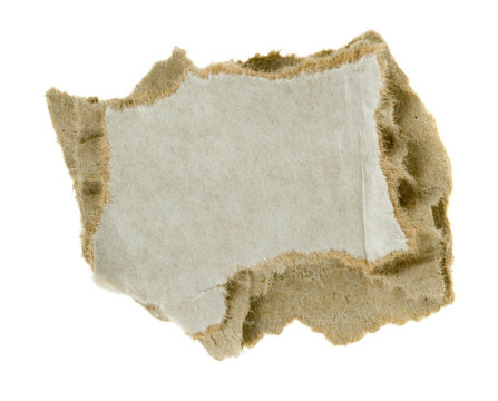 torn piece of corrugated fiberboard isolated