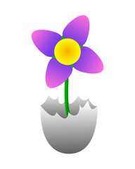 Blume aus Ei