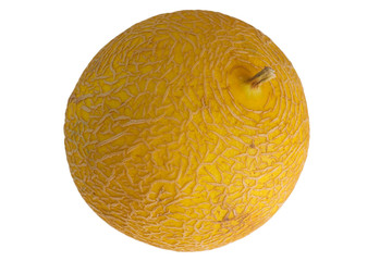 yellow ripe melon isolated on white