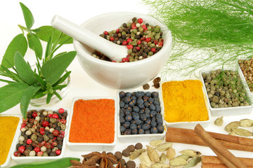 Variety of herbs and spices