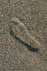 Colorful pebbles on a beach - background texture with footprint