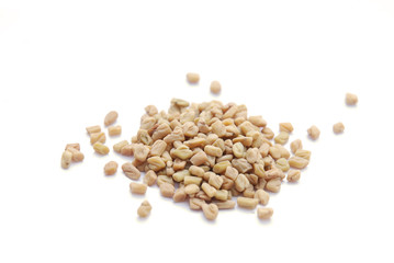 Fenugreek