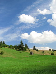 Fototapeta premium landscape