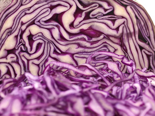 Obraz premium wellness wintergemüse, geschnittene rotkohl