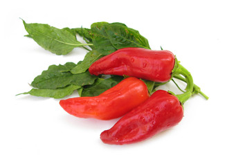 Three paprikas with leaves