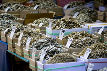 Fische
