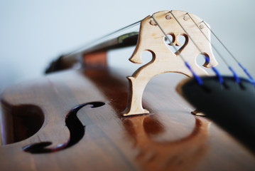 the sounding board of the contrabass close-up