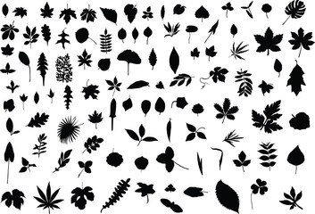 A hundred silhouettes of different leaves