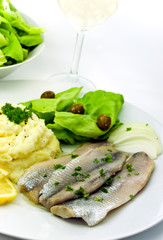 matjes filet - hering -mit kartoffeln,salat,wein