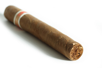 Cigar isolated on white