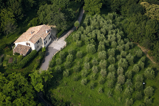 Campagna Veneta