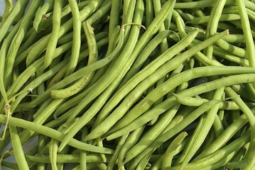 haricots verts frais