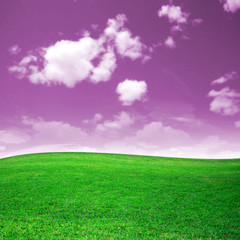 Green field beautiful